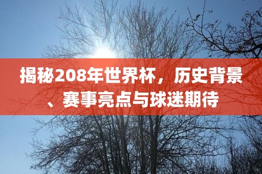 揭秘208年世界杯，历史背景、赛事亮点与球迷期待