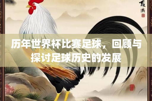 历年世界杯比赛足球，回顾与探讨足球历史的发展