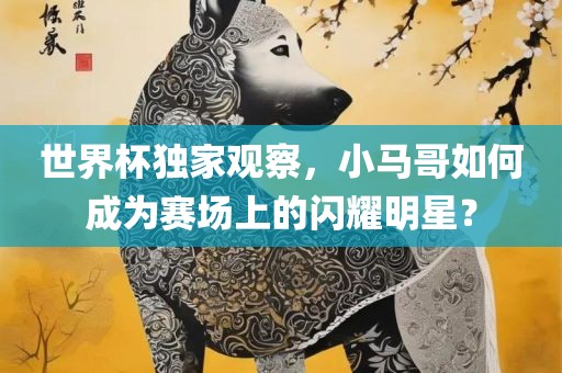 世界杯独家观察，小马哥如何成为赛场上的闪耀明星？