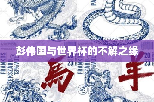 彭伟国与世界杯的不解之缘