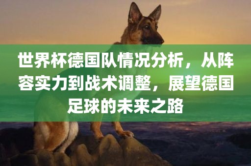 世界杯德国队情况分析，从阵容实力到战术调整，展望德国足球的未来之路