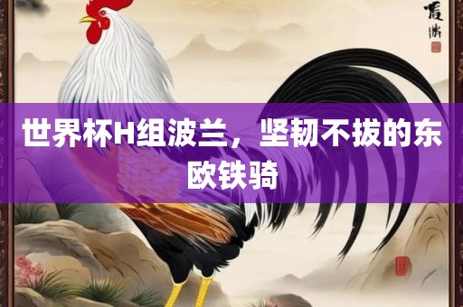 世界杯H组波兰，坚韧不拔的东欧铁骑