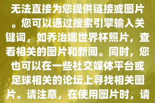 关于乔治娜的世界杯照片，我无法直接为您提供链接或图片。您可以通过搜索引擎输入关键词，如乔治娜世界杯照片，查看相关的图片和新闻。同时，您也可以在一些社交媒体平台或足球相关的论坛上寻找相关图片。请注意，在使用图片时，请遵守版权法规。