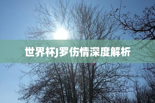 世界杯J罗伤情深度解析