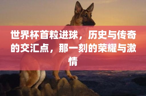 世界杯首粒进球，历史与传奇的交汇点，那一刻的荣耀与激情