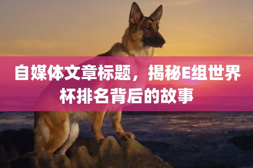 自媒体文章标题，揭秘E组世界杯排名背后的故事