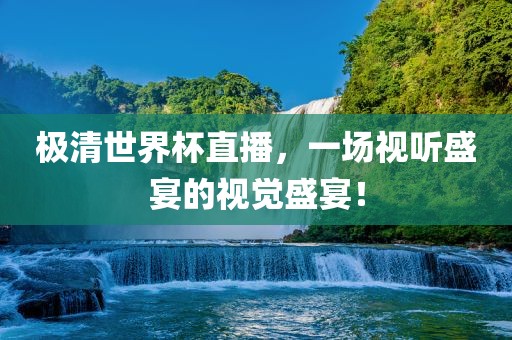 极清世界杯直播，一场视听盛宴的视觉盛宴！