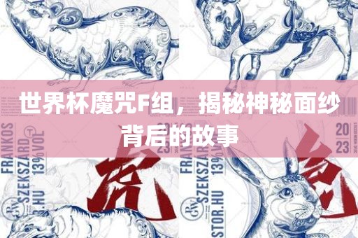 世界杯魔咒F组，揭秘神秘面纱背后的故事