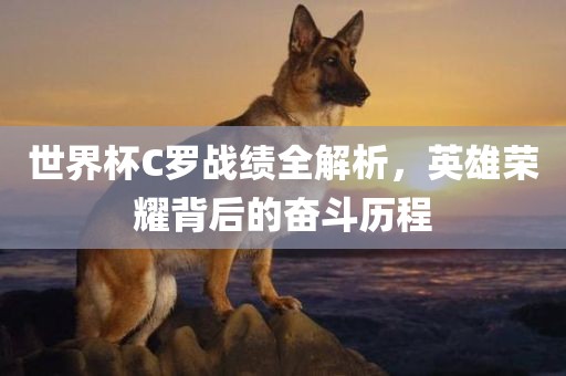 世界杯C罗战绩全解析，英雄荣耀背后的奋斗历程