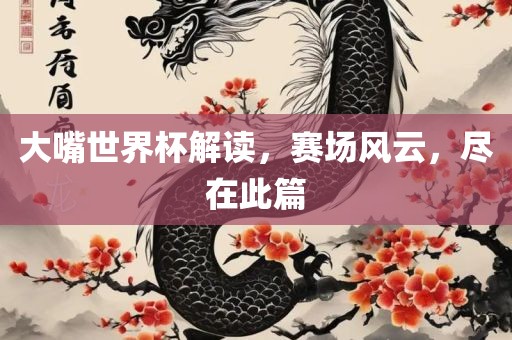 大嘴世界杯解读，赛场风云，尽在此篇