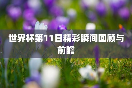 世界杯第11日精彩瞬间回顾与前瞻