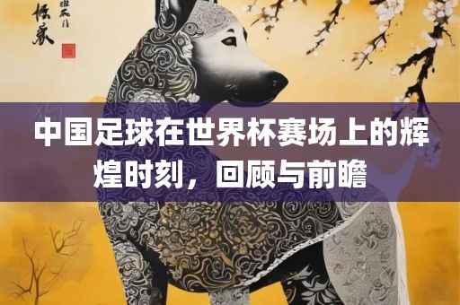 中国足球在世界杯赛场上的辉煌时刻，回顾与前瞻