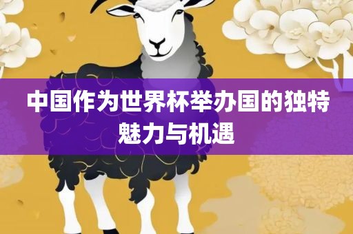 中国作为世界杯举办国的独特魅力与机遇