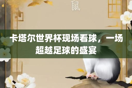 卡塔尔世界杯现场看球，一场超越足球的盛宴