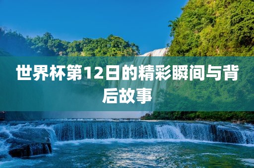 世界杯第12日的精彩瞬间与背后故事