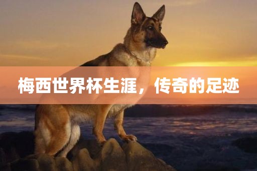 梅西世界杯生涯，传奇的足迹