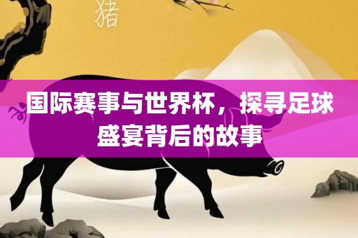 国际赛事与世界杯，探寻足球盛宴背后的故事