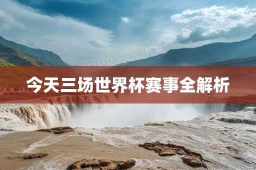 今天三场世界杯赛事全解析