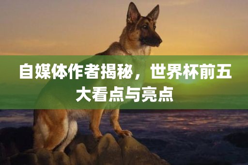 自媒体作者揭秘，世界杯前五大看点与亮点