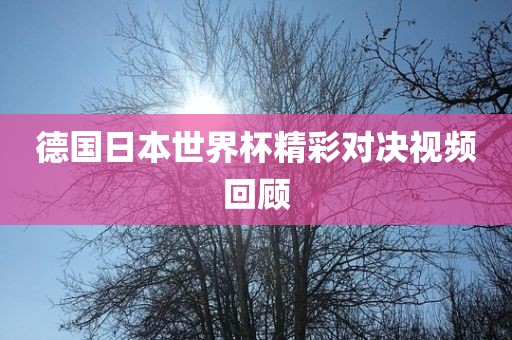 德国日本世界杯精彩对决视频回顾
