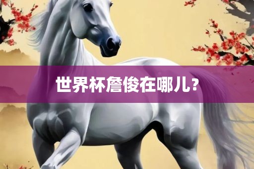 世界杯詹俊在哪儿？