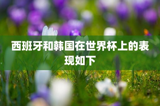 西班牙和韩国在世界杯上的表现如下