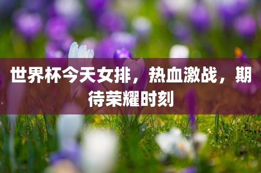 世界杯今天女排，热血激战，期待荣耀时刻
