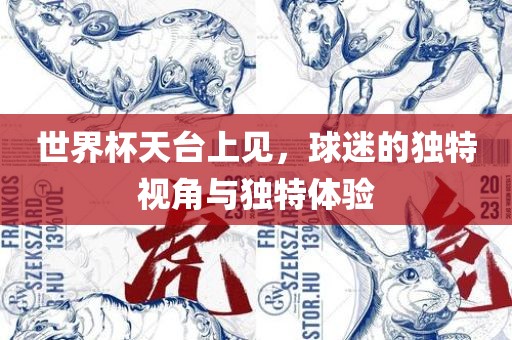 世界杯天台上见，球迷的独特视角与独特体验