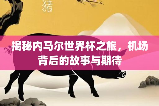 揭秘内马尔世界杯之旅，机场背后的故事与期待