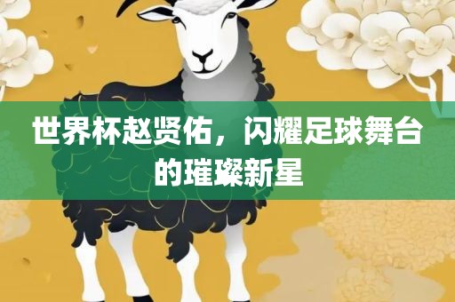世界杯赵贤佑，闪耀足球舞台的璀璨新星