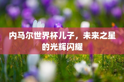 内马尔世界杯儿子，未来之星的光辉闪耀