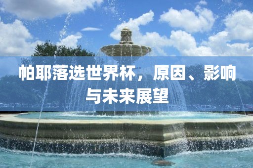 帕耶落选世界杯，原因、影响与未来展望