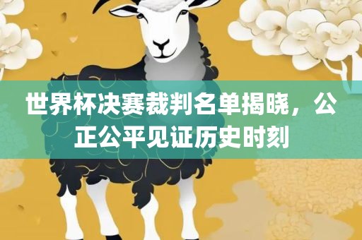 世界杯决赛裁判名单揭晓，公正公平见证历史时刻