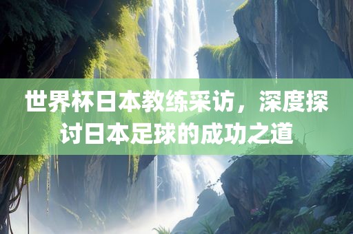 世界杯日本教练采访，深度探讨日本足球的成功之道