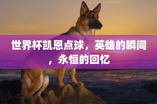 世界杯凯恩点球，英雄的瞬间，永恒的回忆