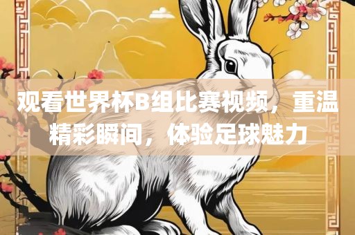 观看世界杯B组比赛视频，重温精彩瞬间，体验足球魅力