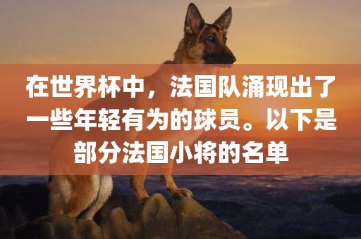 在世界杯中，法国队涌现出了一些年轻有为的球员。以下是部分法国小将的名单