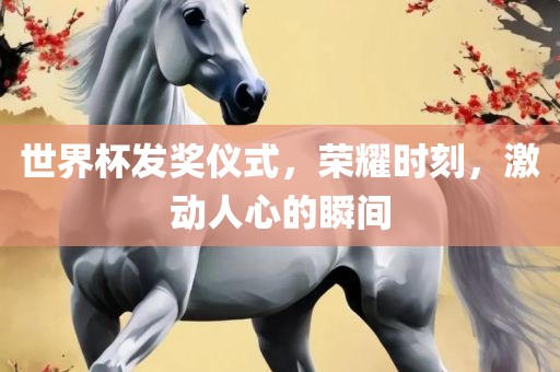 世界杯发奖仪式，荣耀时刻，激动人心的瞬间