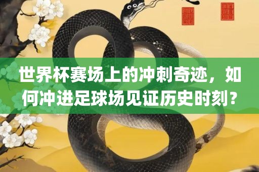 世界杯赛场上的冲刺奇迹，如何冲进足球场见证历史时刻？