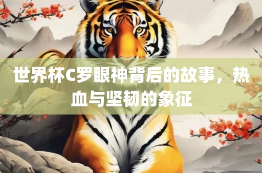 世界杯C罗眼神背后的故事，热血与坚韧的象征