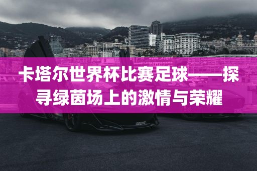 卡塔尔世界杯比赛足球——探寻绿茵场上的激情与荣耀