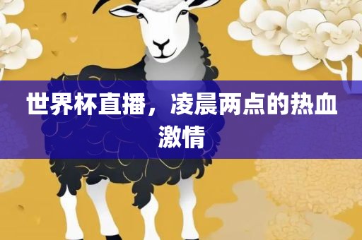 世界杯直播，凌晨两点的热血激情
