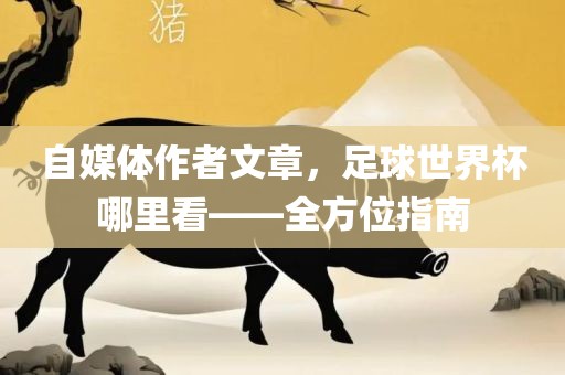自媒体作者文章，足球世界杯哪里看——全方位指南