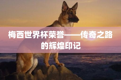 梅西世界杯荣誉——传奇之路的辉煌印记
