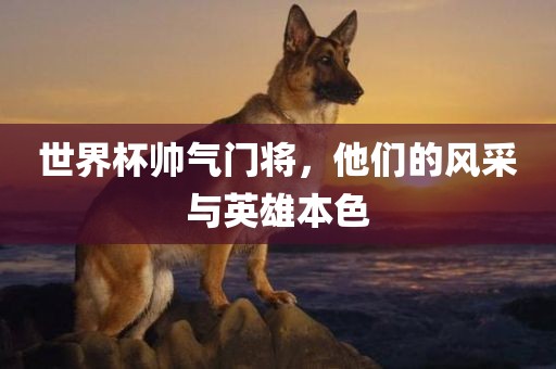 世界杯帅气门将，他们的风采与英雄本色
