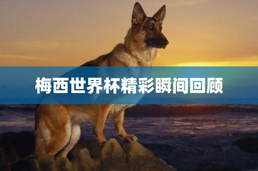 梅西世界杯精彩瞬间回顾