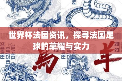 世界杯法国资讯，探寻法国足球的荣耀与实力