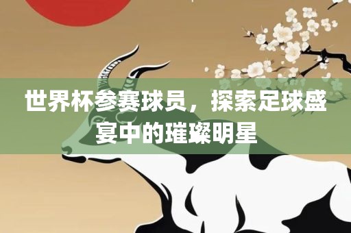 世界杯参赛球员，探索足球盛宴中的璀璨明星