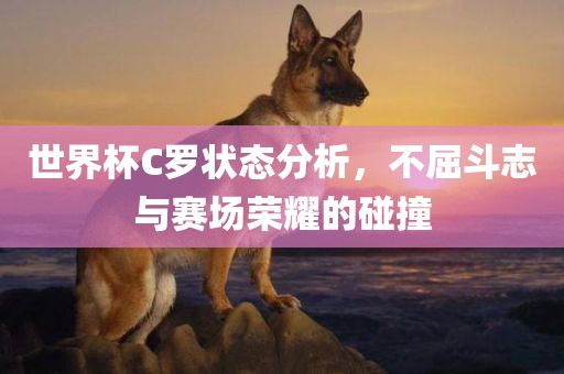 世界杯C罗状态分析，不屈斗志与赛场荣耀的碰撞