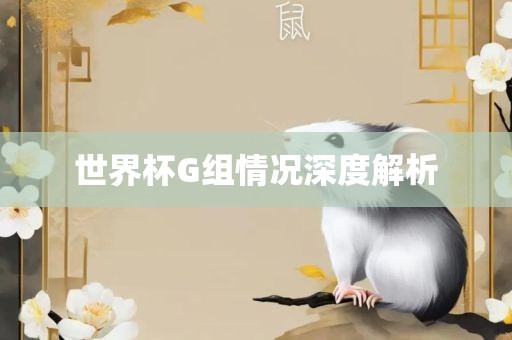 世界杯G组情况深度解析